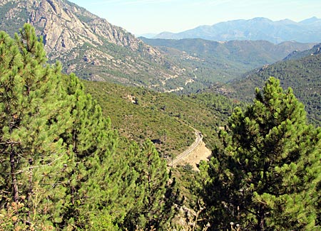 Korsika - Zugausblick zwischen Corte und Vizzavona