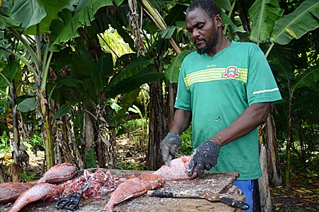 Grenada - Red Snapper wird zubereitet
