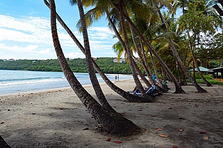 Grenada - Beach La Sagesse