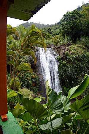 Grenada - Wasserfall im Landesinneren