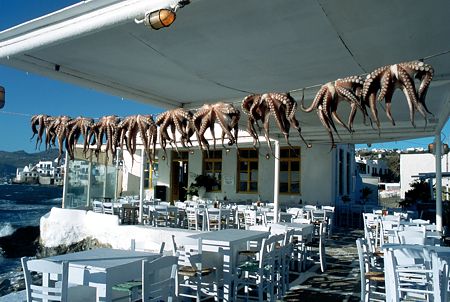 Griechenland / Mykonos / Taverne mit Tintenfischen