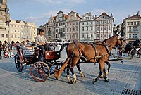 Stadtreiseführer Prag