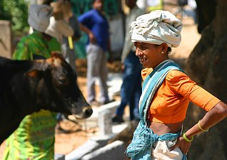 Indien Bangalore Marktfrau