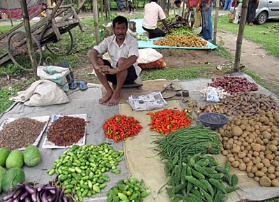 Indien - Gemüsehändler auf Dorfmarkt
