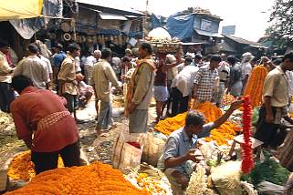 Indien / Kalkutta / Blumenmarkt