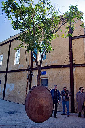 Israel - Kunstwerk " Hängender Orangenbaum" in Jaffa / Yafo, symbolisiert die jahrtausendelange Trennung des jüdischen Volks von seinem Land, Foto: Robert B. Fishman, ecomedia