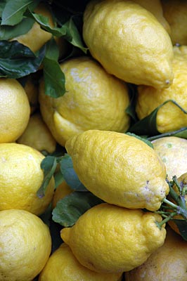 Italien - Amalfiküste - Das Markenzeichen der Küste - Zitronen