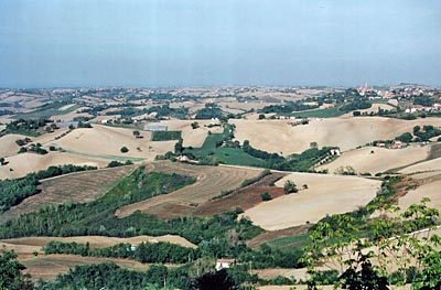 Italien - Marken - Patchwork: Blick von Barchi über die bäuerlich geprägte Hügellandschaft