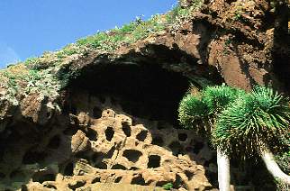Gran Canaria / Höhlen von Cenobio de Valeron
