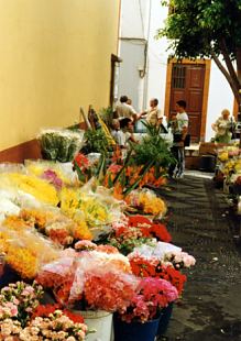 Spanien / Kanaren / La Palma / Blumenmarkt