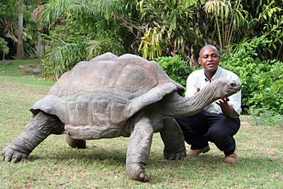 Kenia - Karima mit einer Riesenschildkröte