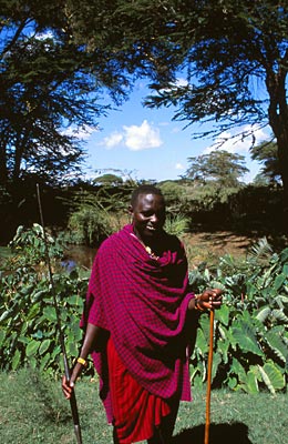 Kenia - Masai Mara - Ayubu