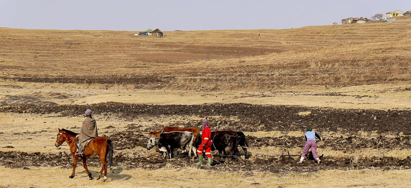 Bauern in Lesotho, Foto: Pixabay