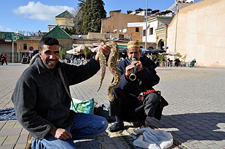 Marokko - Schlangenbeschwörer auf dem El Hedim-Platz in der Königsstadt Meknès
