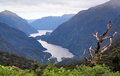 Neuseeland - Blick auf den Doubtful Sound vom Wilmot Pass aus