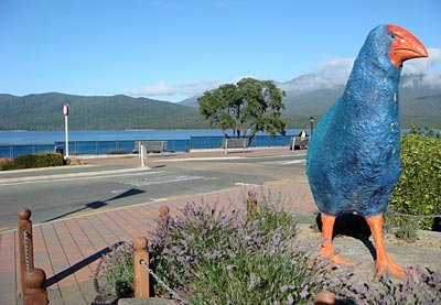 Neuseeland - Denkmal für den Takahe
