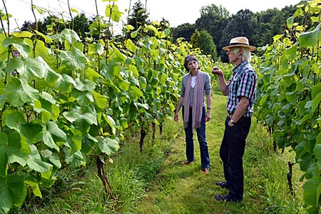 Niederlande - Flevoland nicht Bordeaux: Flachlandwinzer Johan Rippen in seinem Weingarten