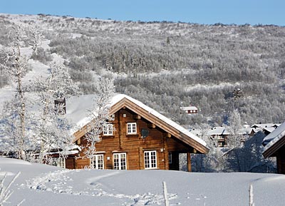 Norwegen - Hütten in Hovden