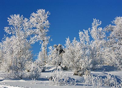 Norwegen - Hovden - Winterlandschaft