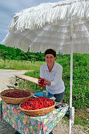 Kirschenverkauf in der Region Brda, Slowenien