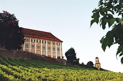 Österreich - Standesgemäß: Ein Schloss krönt den Weinberg im Winzerort Stainz