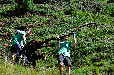 Volunteering Tirol: Säuberung der Hänge zur Rückgewinnung von Weideland für die Waxeggalm im Zemmgrund, Hochgebirgsnaturpark Zillertaler Alpen, Tirol, Österreich