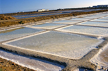 Portugal algarve Salzgewinnung