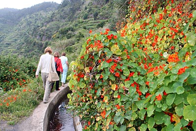 Portugal - Madeira - Um die terrassenförmig angelegten Felder zu bewässern, wurden Wasserkanäle angelegt, die so genannten Levadas - heute bilden die Levadas ein ideales Wanderrevier