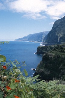 Portugal Madeira Küste