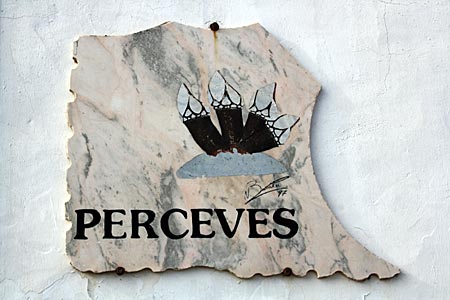 Portugal - Algarve - Perceves, seltsam anmutende Felsmuscheln, die auf Deutsch aufgrund ihrer Form auch Entenmuscheln genannt werden