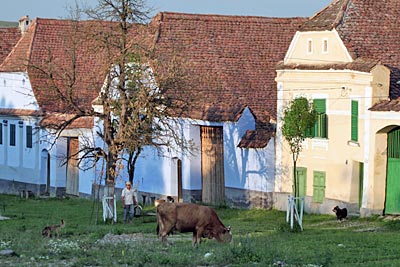 Rumänien Viscri Fassaden