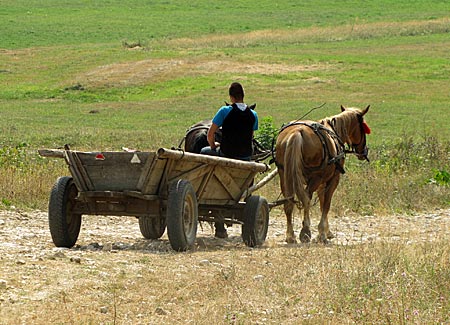 Rumänien- Transsilvanien - eine Caruta dient Bauern immer noch als Transportmittel