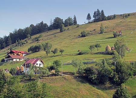 umänien - Transsilvanien - auf 1000 Metern Hoehe im Nationalpark Piatra Craiului