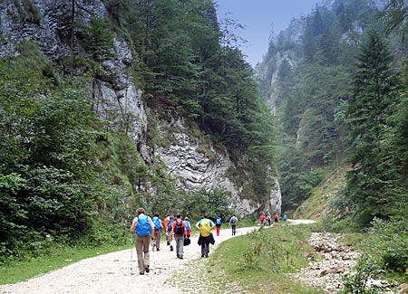 Rumänien - Transsilvanien - Wanderung durch die Zarneschter Schlucht im Nationalpark Piatra Craiului