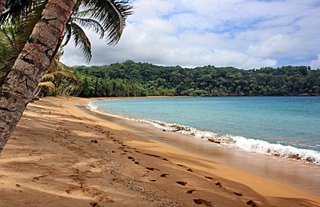 Bom Bom Island Resort auf Príncipe: Den Palmen bewachsenen Strand entlang zieht sich nur eine Fußspur: die eigene