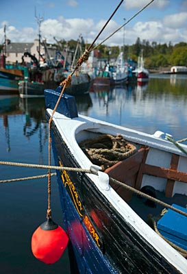 Schottland - Hebriden - Fischerboote im Hafen
