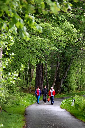 Schottland - Inverie ist der Ausgangspunkt für längere Touren in das wilde Knoydart, doch es gibt dort auch gemütlichere Wanderwege