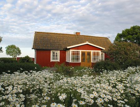 Schweden / Karlskrona / rotes Haus im Blumengarten