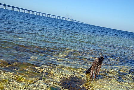 Schweden - Malmö - Öresundbrücke