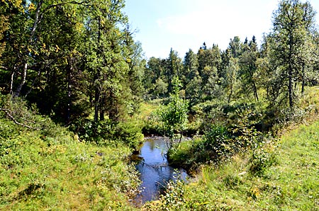 Schweden - Wasser ist auf dem Olafsweg allgegenwärtig