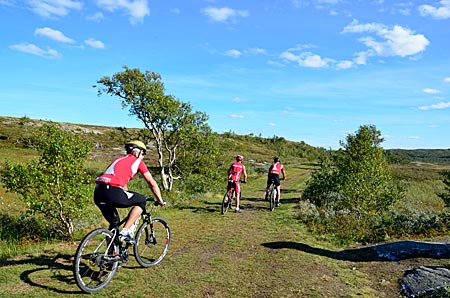Schweden - Auch Mountain-Biker sind auf dem Olafsweg unterwegs