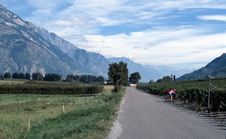 Schweiz - Ausblick hinter Sion