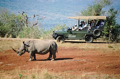 KwaZulu-Natal - auf Safari