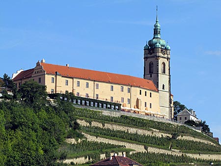 Tschechien - Melnik - Schloss Melnik umgeben von Weinreben