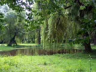 Ungarn Zala Arboretum