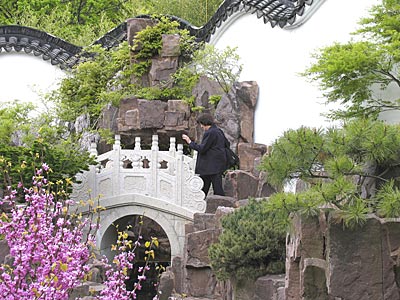 New York - Staten Island - Chinese Scholar Garden