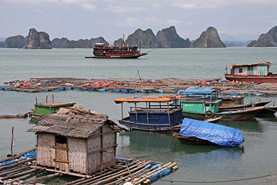 Vietnam - Muschelzucht in der Halong Bucht